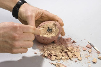 Moses - Dino Ei Zum Ausgraben