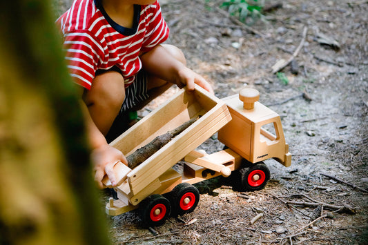 Fagus - Muldenkipper-LKW