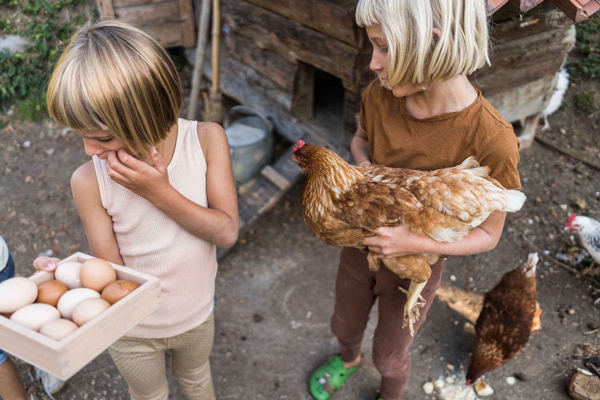 Grapat - Storage Box Bild 1