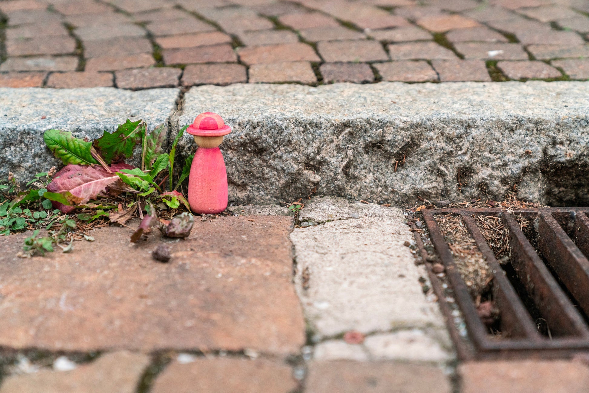 Grapat - Fancy Nins Bild 2