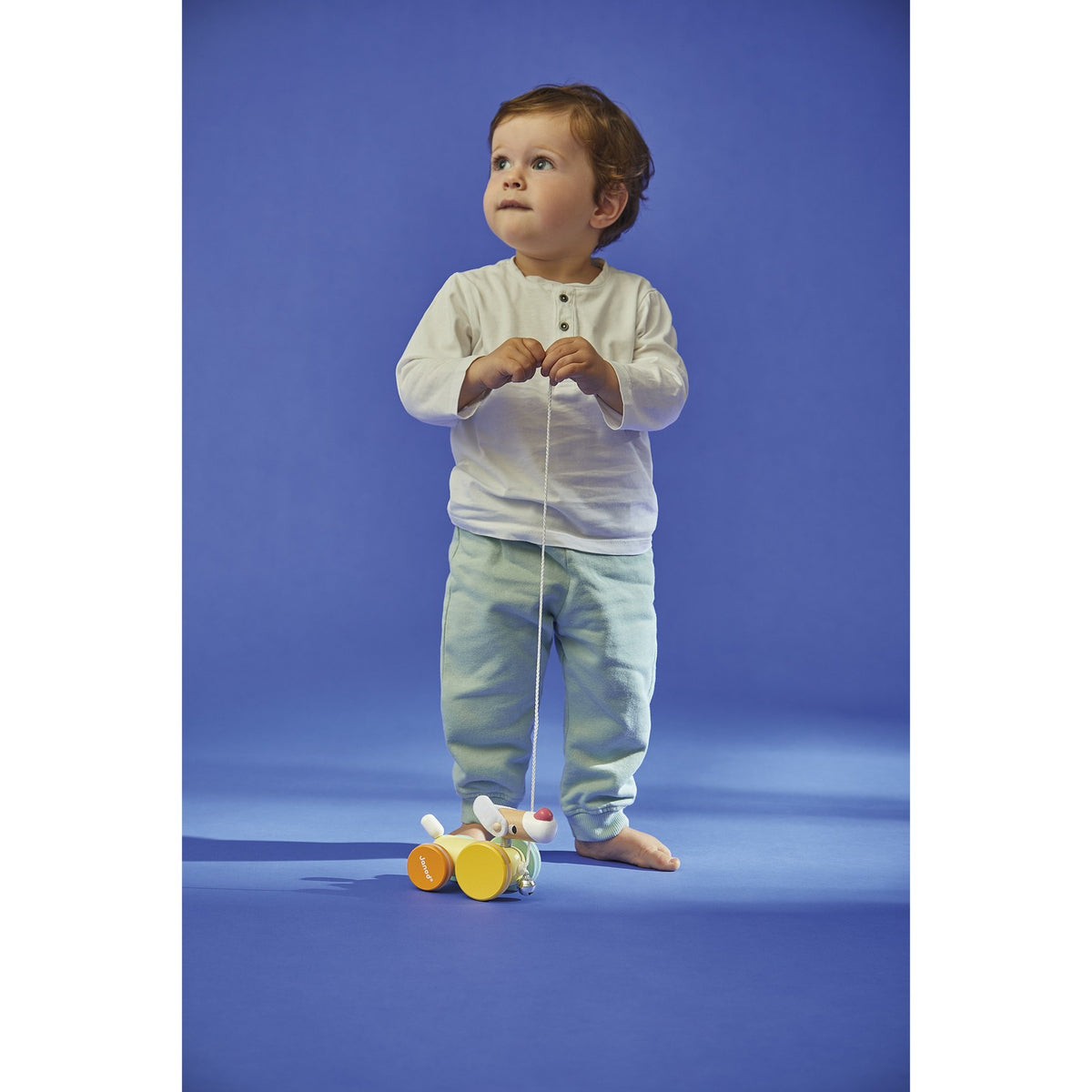 Janod - Zigolos Nachziehhund - J08291_R01_60