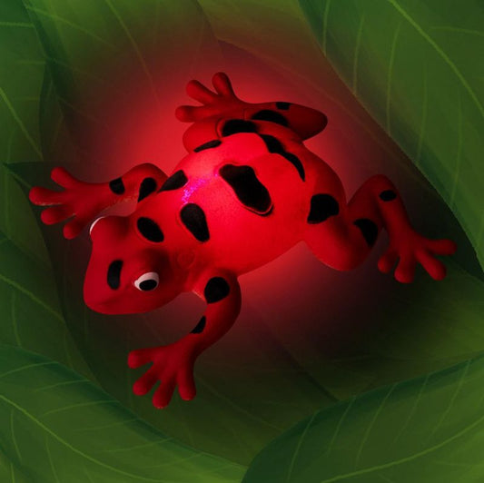 Trendhaus - ZOO Stretchy Light-Up Kröte nachtleuchtend