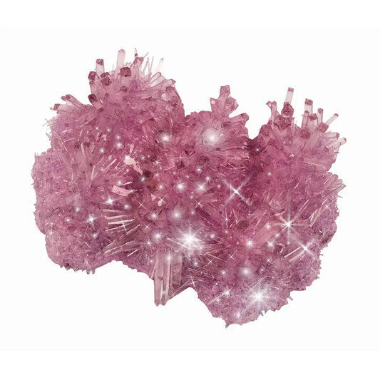 Moses - Funkelnder Kristall-Frühlingsfreund