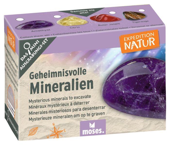 Moses - Expedition Natur Mini-Ausgrabungssets Stück