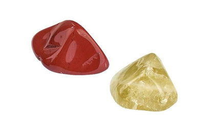 Moses - Expedition Natur Mini-Ausgrabungssets Stück