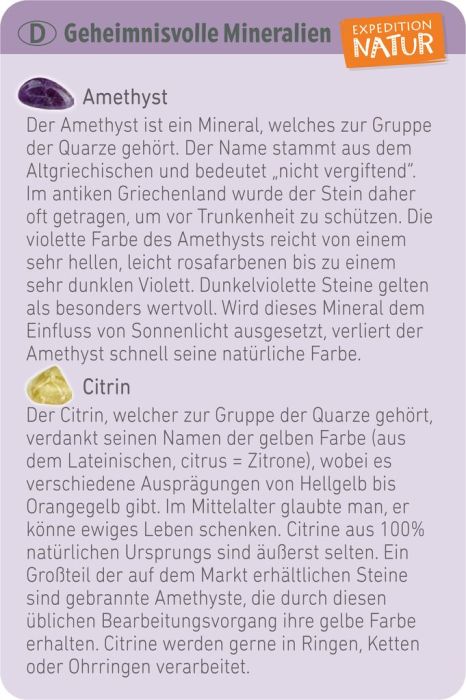 Moses - Expedition Natur Mini-Ausgrabungssets Stück