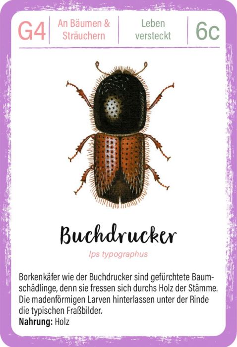 Moses - Expedition Natur Quartett Minimonster