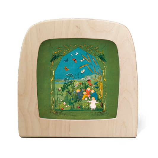 Toverlux - The Story of the Root Children - Summer Bild 1