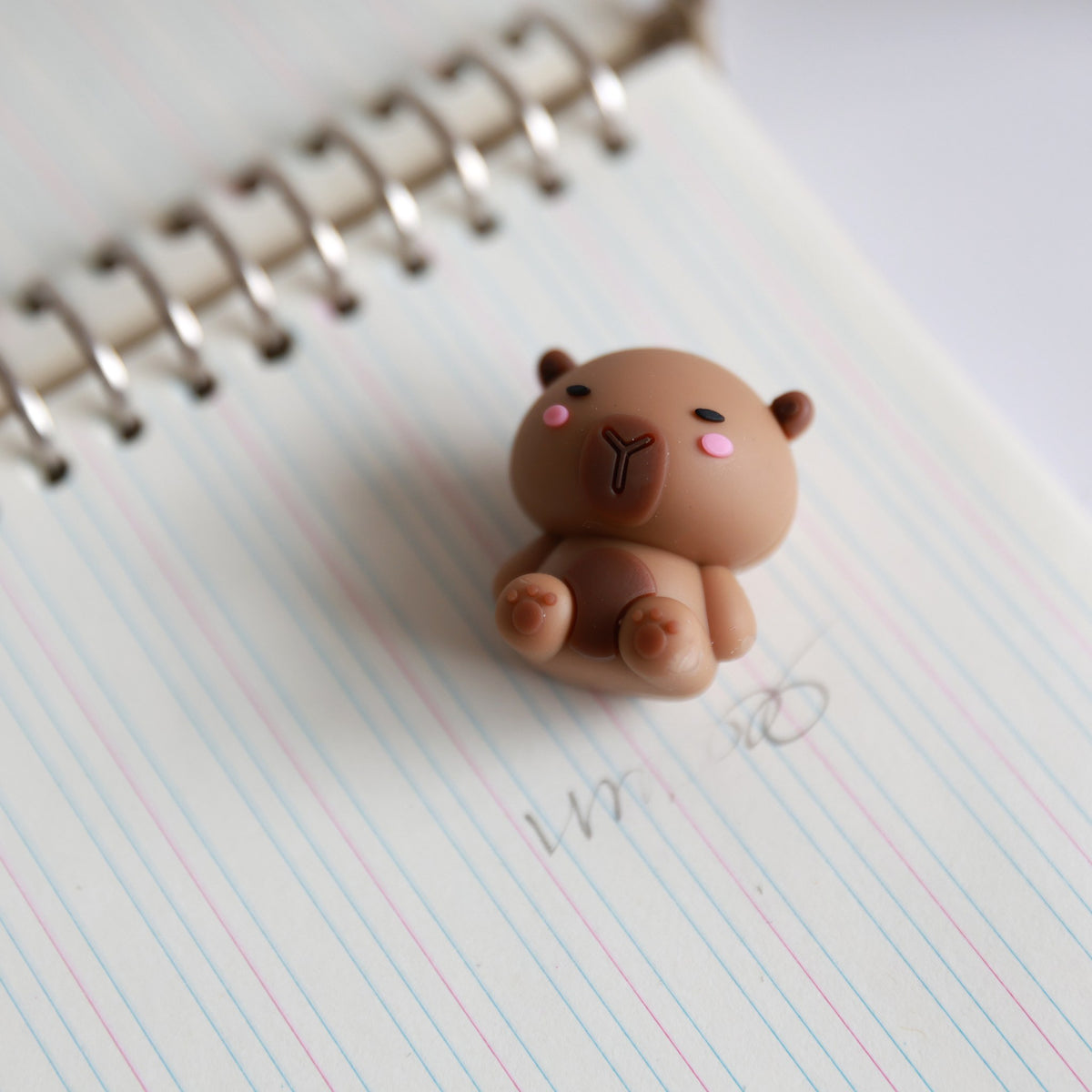 Capybara-Radiergummi auf einem Spiralblock neben radierter Schrift