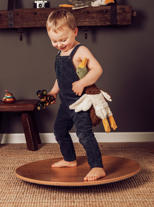 Senger Naturwelt - Bio Kuscheltier Wämekissen Erpel - klein braun