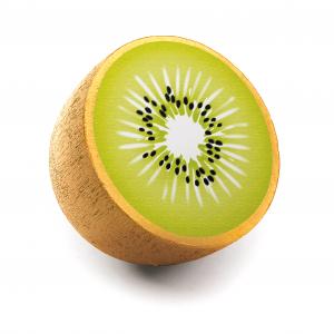 Holz-Kiwi von Erzi mit grüner Schale und charakteristischem Fruchtfleisch für Kaufladen