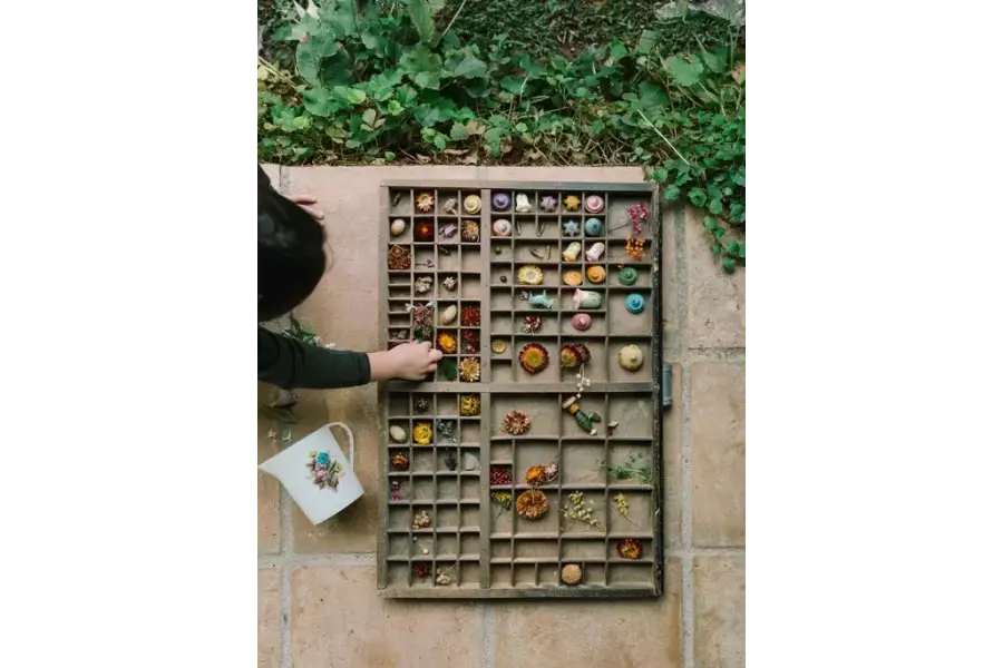 Grapat - Flower Meadow