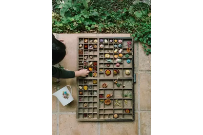 Grapat - Flower Meadow