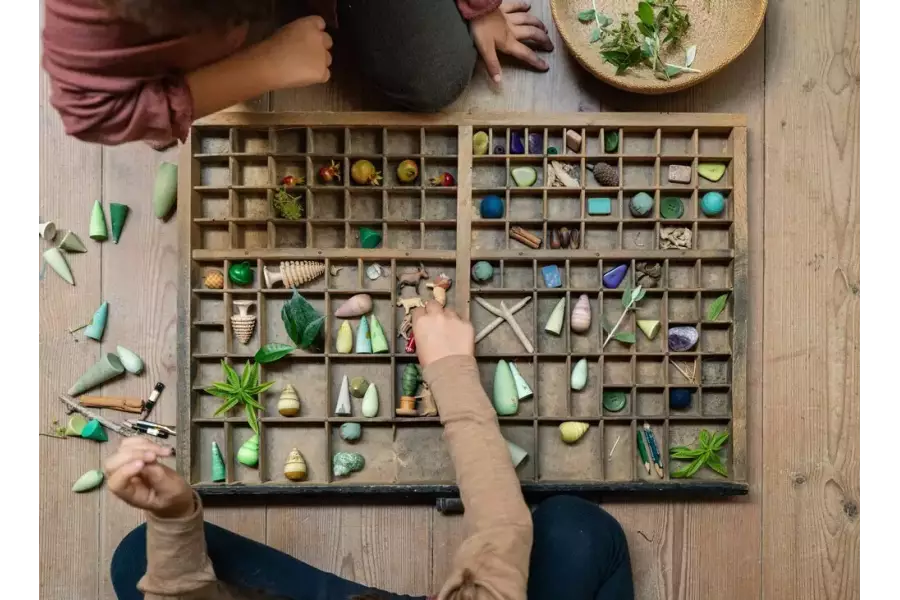 Grapat - Forrest Trees