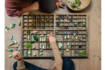 Grapat - Forrest Trees