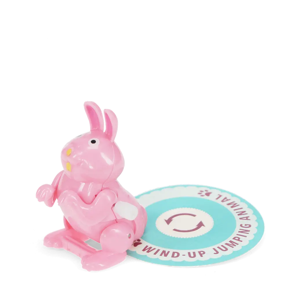 Aufziehspielzeug Hase von Rex London mit farbigem Design zum Hüpfen