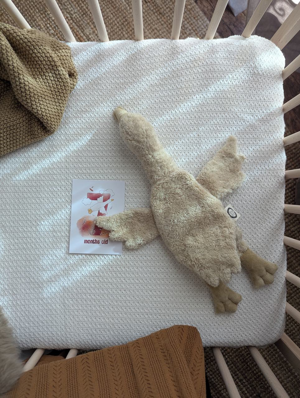 Bio Kuscheltier Wärmekissen Gans in Beige von Senger Naturwelt mit Dinkelspelz-Füllung