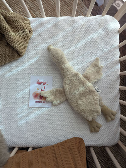 Bio Kuscheltier Wärmekissen Gans in Beige von Senger Naturwelt mit Dinkelspelz-Füllung