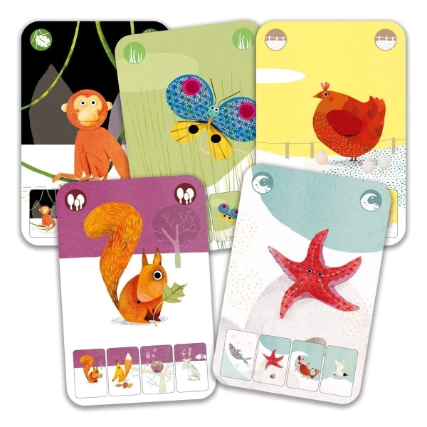 Djeco Mini Nature Kartenspiel mit farbigen Natur-Illustrationen in kompakter Spielgröße