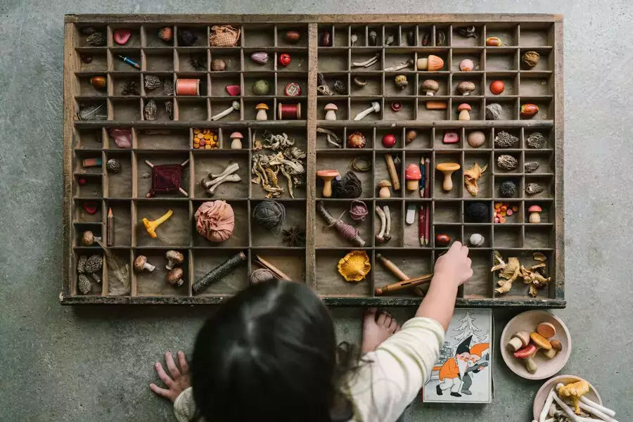 Grapat - Mushroom Groove