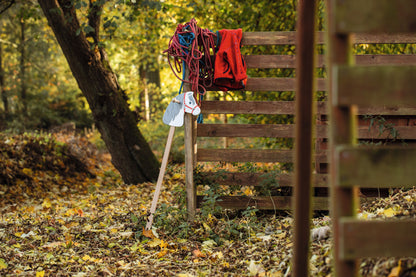 Goki - Steckenpferd Wölkchen Bild 3
