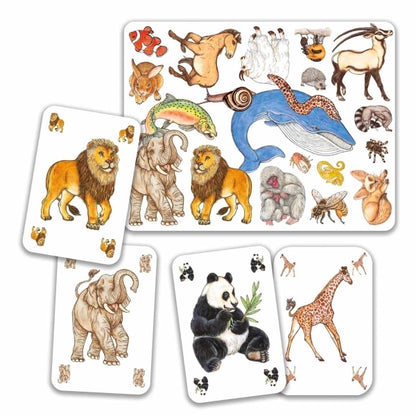 Kartenspiel Zanimatch von Djeco mit bunten Tierkarten im charakteristischen Djeco-Design